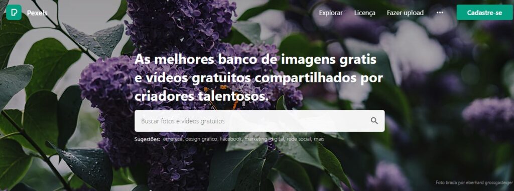 banco-de-imagens-gratis-pexels